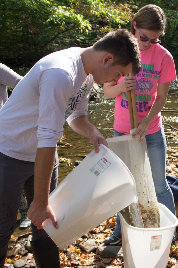 Environmental Studies - BA